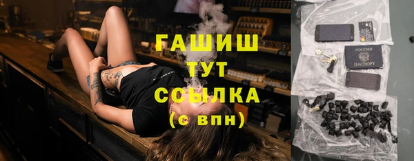 apvp Алзамай