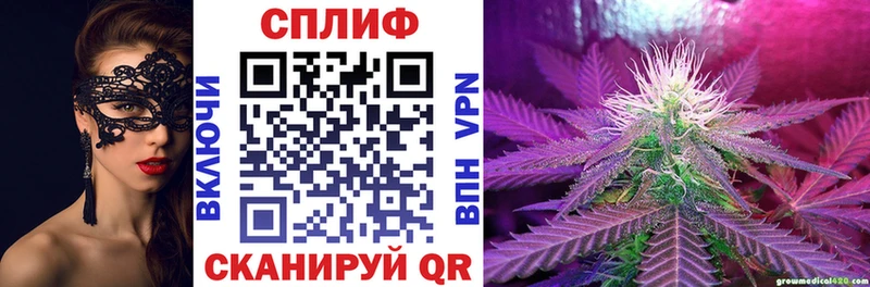 как найти наркотики  Зуевка  МАРИХУАНА SATIVA & INDICA 